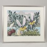 1754&nbsp;8101&nbsp;Färglitografi